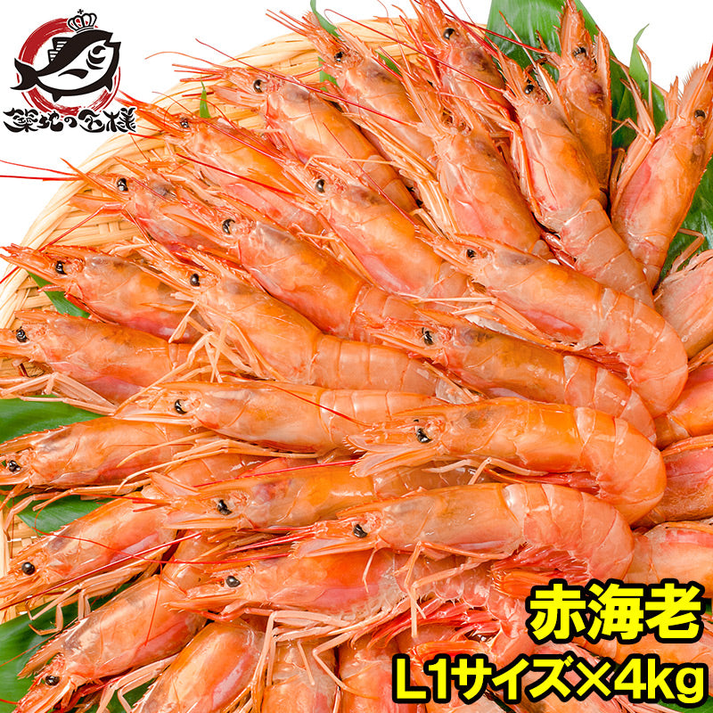 赤海老 4kg 超特大L1 20〜40尾 業務用2kg×2箱・4kg お刺身用赤えび。ぼたん海老を超える希少な超特大 大きくプリプリの赤海老は甘みが違う。【赤えび 赤エビ あかえび アカエビ アルゼンチン 寿司 バーベキュー BBQ】