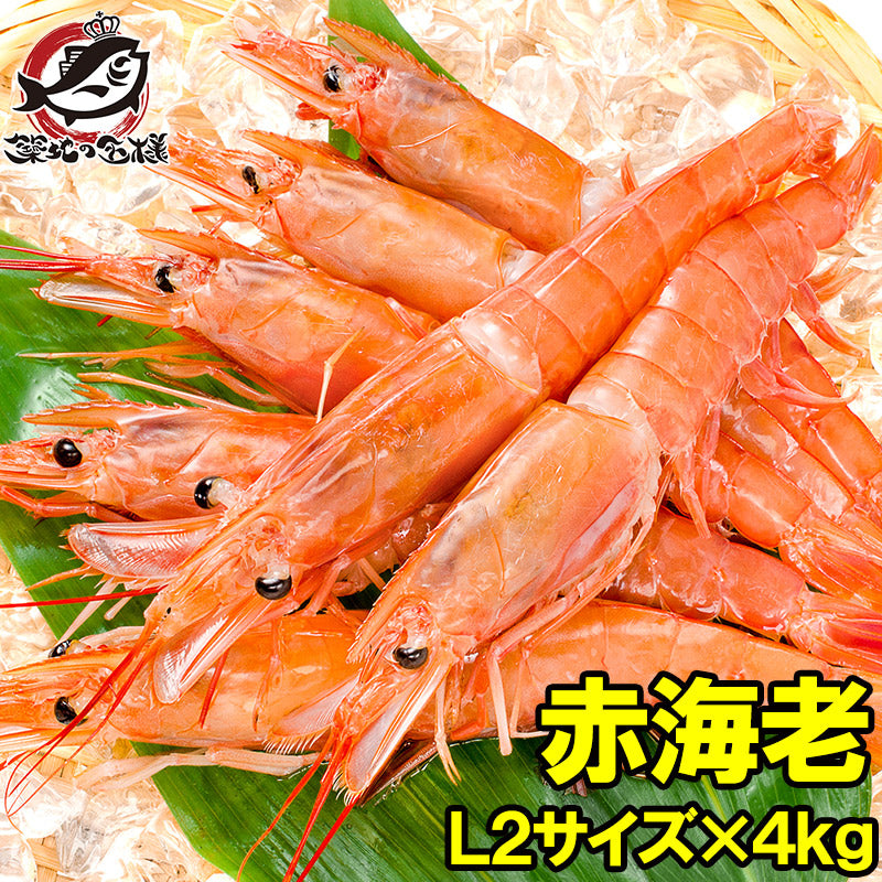 赤海老 4kg 特大L2 40〜60尾 業務用2kg×2箱・4kg お刺身用赤えび。ぼたん海老を超える希少な超特大 大きくプリプリの赤海老は甘みが違う。【赤えび 赤エビ あかえび アカエビ アルゼンチン 寿司 バーベキュー BBQ】