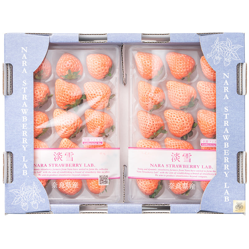 いちご 白いちご 淡雪 DX 等級 あわゆき 250g×8パック 合計2kg 1箱 2パック入り 白イチゴ イチゴ 苺 奈良県産 肥前 大粒 いちごの王様 フルーツ 果物 ギフト 贈答 お取り寄せ 産地直送 市場直送 クール便 豊洲市場 青果