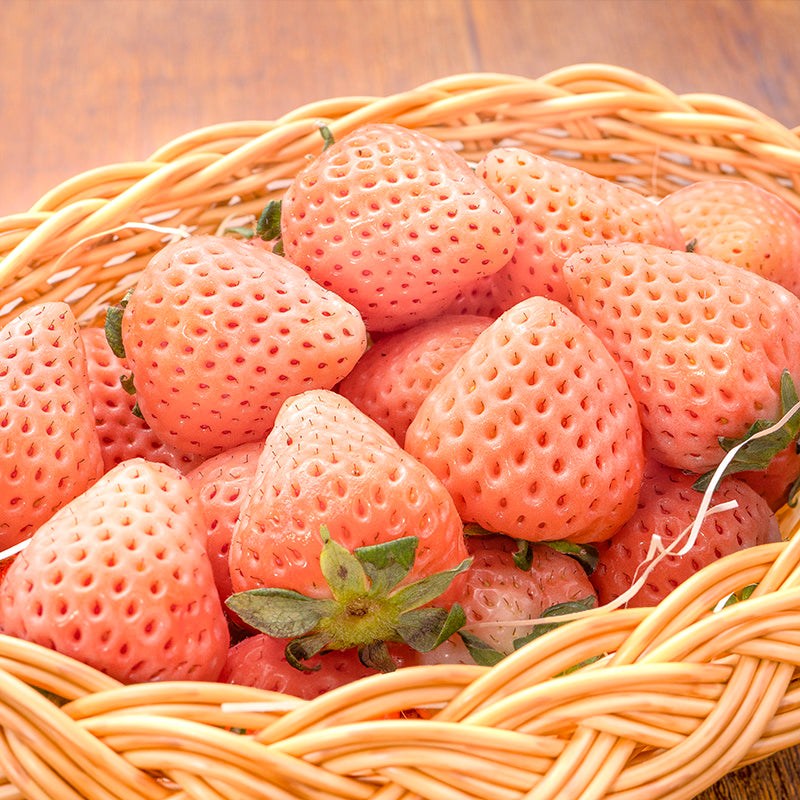 いちご 白いちご 淡雪 DX 等級 あわゆき 250g×8パック 合計2kg 1箱 2パック入り 白イチゴ イチゴ 苺 奈良県産 肥前 大粒 いちごの王様 フルーツ 果物 ギフト 贈答 お取り寄せ 産地直送 市場直送 クール便 豊洲市場 青果