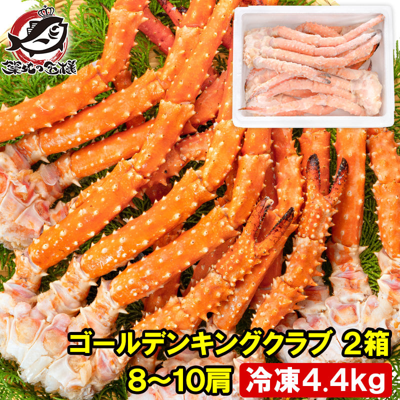 ゴールデンキングクラブ 2箱 冷凍総重量 4.4kg 合計8~10肩 解凍後 3.6kg タラバガニにも負けない旨味 タラバガニ科 イバラガニ 正規品 ボイル冷凍 足 肩セクション かに カニ 蟹 豊洲市場 カニ鍋 焼きガニ かに脚 ギフト 贈答用 お歳暮 単品おせち 海鮮おせち