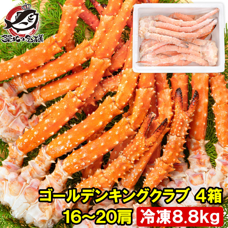 ゴールデンキングクラブ 4箱 冷凍総重量 8.8kg 合計16~20肩 解凍後 7.2kg タラバガニにも負けない旨味 タラバガニ科 イバラガニ 正規品 ボイル冷凍 足 肩セクション かに カニ 蟹 豊洲市場 カニ鍋 焼きガニ かに脚 ギフト 贈答用 お歳暮 単品おせち 海鮮おせち