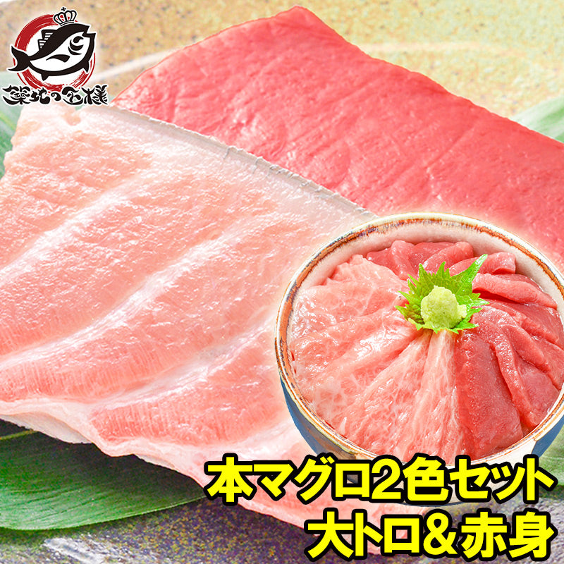本まぐろ大トロ200g&赤身200gセット 通が唸る本まぐろの真髄赤身と人気1番中トロを極める 【鮪 まぐろ マグロ 豊洲 刺身 クロマグロ ギフト】