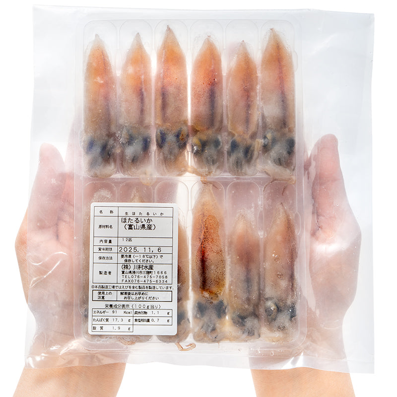 送料無料 高級グレード 生ホタルイカ ほたるいか 合計60尾 12尾(約120g)×5パック お刺身OK!新物ほたるいか。富山産ほたるいかは大きくぷりぷりの食感!【いか イカ 蛍烏賊 刺身 烏賊 豊洲市場 ギフト】
