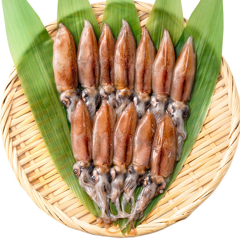 送料無料 高級グレード 生ホタルイカ ほたるいか 合計36尾 12尾(約150g)×3パック お刺身OK!新物ほたるいか。富山産ほたるいかは大きくぷりぷりの食感!【いか イカ 蛍烏賊 刺身 烏賊 豊洲市場 ギフト】