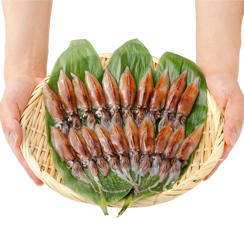 送料無料 高級グレード 生ホタルイカ ほたるいか 20尾 約150g お刺身OK!新物ほたるいか。富山産ほたるいかは大きくぷりぷりの食感!【いか イカ 蛍烏賊 刺身 烏賊 豊洲市場 ギフト】