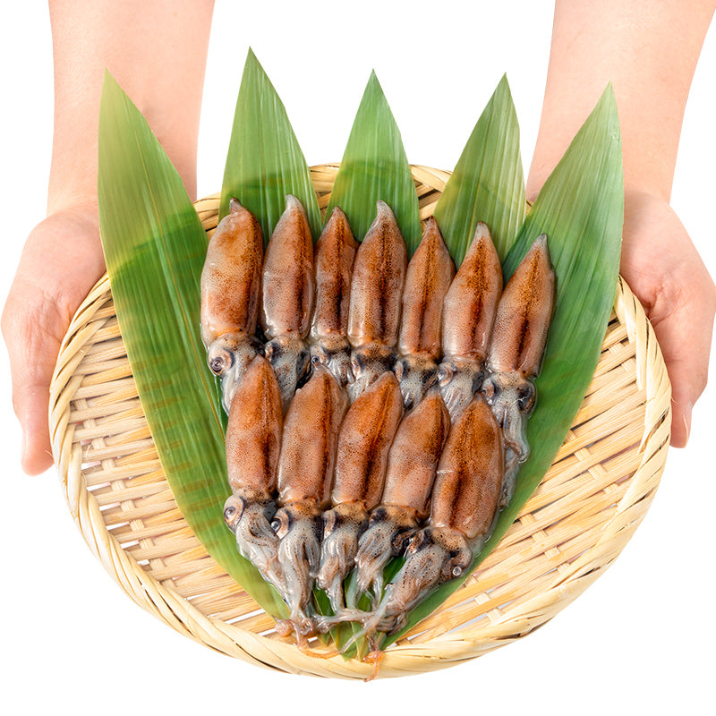 送料無料 高級グレード 生ホタルイカ ほたるいか 120尾 12尾(約120g)×10パック お刺身OK!新物ほたるいか。富山産ほたるいかは大きくぷりぷりの食感!【いか イカ 蛍烏賊 刺身 烏賊 豊洲市場 ギフト】