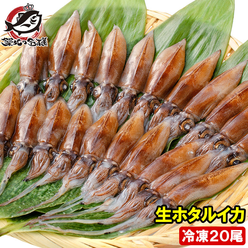 送料無料 高級グレード 生ホタルイカ ほたるいか 20尾 約150g お刺身OK!新物ほたるいか。富山産ほたるいかは大きくぷりぷりの食感!【いか イカ 蛍烏賊 刺身 烏賊 豊洲市場 ギフト】