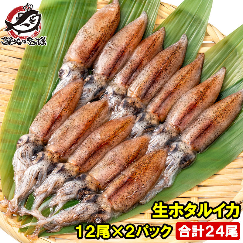 送料無料 高級グレード 生ホタルイカ ほたるいか 24尾 12尾(約120g)×2パック お刺身OK!新物ほたるいか。富山産ほたるいかは大きくぷりぷりの食感!【いか イカ 蛍烏賊 刺身 烏賊 豊洲市場 ギフト】