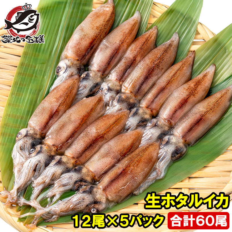 送料無料 高級グレード 生ホタルイカ ほたるいか 合計60尾 12尾(約120g)×5パック お刺身OK!新物ほたるいか。富山産ほたるいかは大きくぷりぷりの食感!【いか イカ 蛍烏賊 刺身 烏賊 豊洲市場 ギフト】