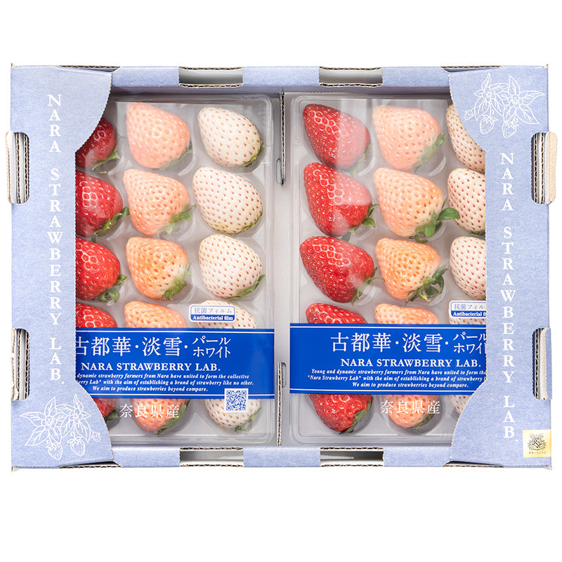 いちご3種食べ比べセット 250g×4パック 合計1kg 1箱 2パック入り 古都華 淡雪 パールホワイト アソート いちご イチゴ 苺 化粧箱入り 大粒 フルーツ 果物 ギフト 贈答 お取り寄せ 市場直送 クール便 豊洲市場 青果