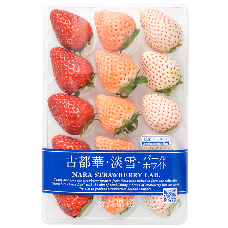 いちご3種食べ比べセット 250g×4パック 合計1kg 1箱 2パック入り 古都華 淡雪 パールホワイト アソート いちご イチゴ 苺 化粧箱入り 大粒 フルーツ 果物 ギフト 贈答 お取り寄せ 市場直送 クール便 豊洲市場 青果