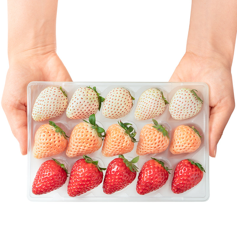 いちご3種食べ比べセット 250g×4パック 合計1kg 1箱 2パック入り 古都華 淡雪 パールホワイト アソート いちご イチゴ 苺 化粧箱入り 大粒 フルーツ 果物 ギフト 贈答 お取り寄せ 市場直送 クール便 豊洲市場 青果