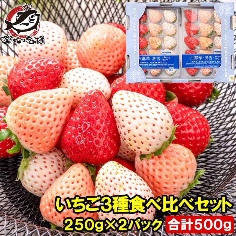 いちご3種食べ比べセット 250g×2パック 合計500g 1箱 2パック入り 古都華 淡雪 パールホワイト アソート いちご イチゴ 苺 化粧箱入り 大粒 フルーツ 果物 ギフト 贈答 お取り寄せ 市場直送 クール便 豊洲市場 青果