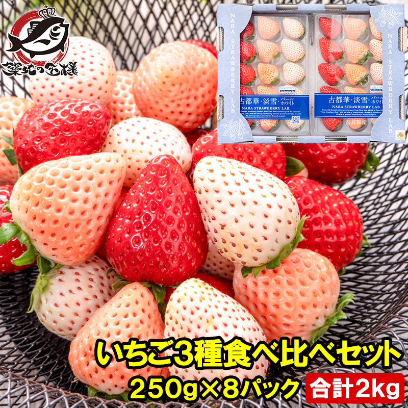 いちご3種食べ比べセット 250g×8パック 合計2kg 1箱 2パック入り 古都華 淡雪 パールホワイト アソート いちご イチゴ 苺 化粧箱入り 大粒 フルーツ 果物 ギフト 贈答 お取り寄せ 市場直送 クール便 豊洲市場 青果
