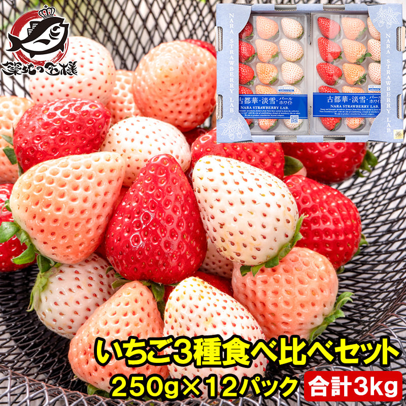 いちご3種食べ比べセット 250g×12パック 合計3kg 1箱 2パック入り 古都華 淡雪 パールホワイト アソート いちご イチゴ 苺 化粧箱入り 大粒 フルーツ 果物 ギフト 贈答 お取り寄せ 市場直送 クール便 豊洲市場 青果
