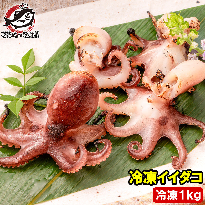 イイダコ いいだこ 業務用 1kg タコ たこ 蛸 飯蛸 冷凍 バラ凍結 チュクミ ポックム 韓国料理 鍋 おでん 飯蛸 たこ飯 下処理済みご飯のお供 おかず 築地市場 豊洲市場