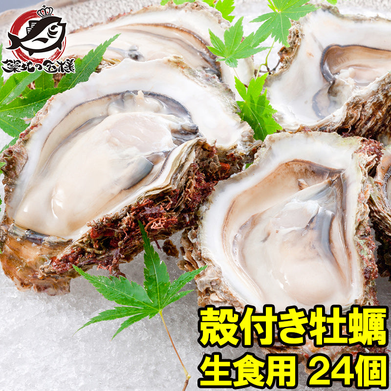 生牡蠣 殻付き 生食用カキ 24個入り 冷凍殻付き牡蠣 生食用 新製法で冷凍なのに生食可能な殻付き牡蠣【冷凍 生ガキ かき カキ 牡蛎 焼き牡蠣 バーベキュー 牡蠣鍋 カキフライ 牡蠣フライ ギフト】