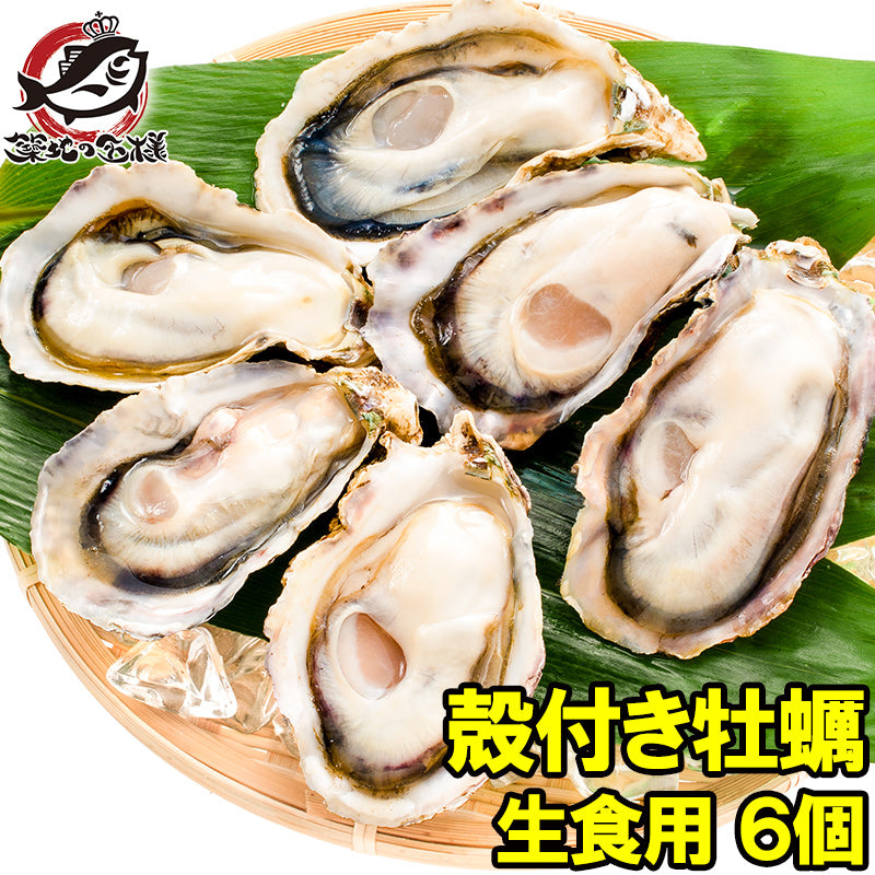 生牡蠣 殻付き 生食用カキ 6個入り 冷凍殻付き牡蠣 生食用 新製法で冷凍なのに生食可能な殻付き牡蠣で濃厚な風味 冷凍 生ガキ かき カキ 牡蛎 焼き牡蠣 バーベキュー 牡蠣鍋 カキフライ 牡蠣フライ 豊洲市場 ギフト