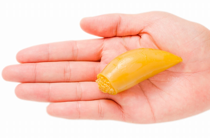 子持ちやりいか 500g×10パック 合計5kg 20〜25粒入り 徳用パック 上品でさっぱりとした高級感。子持ちヤリイカ いか イカ ヤリイカ ししゃも シシャモ ししゃも子 惣菜 おかず 珍味 おつまみ 築地市場 豊洲市場 ギフト