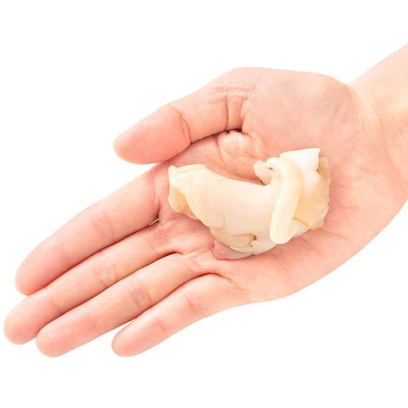 真つぶ貝 生食用ツブ貝 1kg×2パック 合計2kg 殻むき生冷凍のお刺身用 たっぷり食べるならかなりお得 【つぶ ツブ つぶ貝 ツブ貝 バイ貝 ばい貝 刺身 寿司 豊洲】