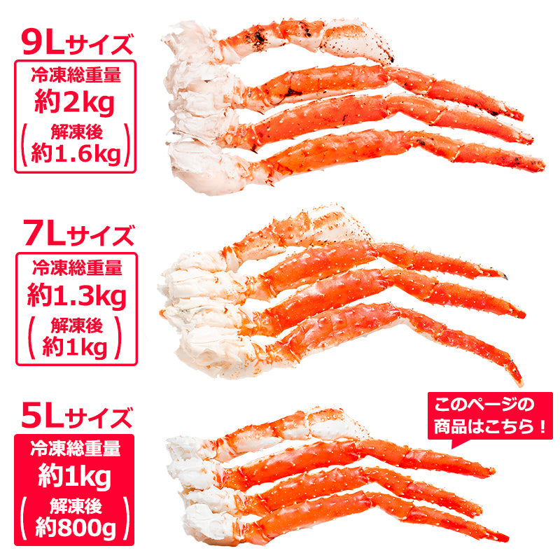 タラバガニ たらばがに 極太 5Lサイズ 1kg ×2肩セット 冷凍総重量2kg前後 正規品 ボイル冷凍 足 肩セクション シュリンク包装 タラバ かに カニ 蟹 たらば蟹 タラバ蟹 豊洲 カニ鍋 焼きガニ 脚 ギフト