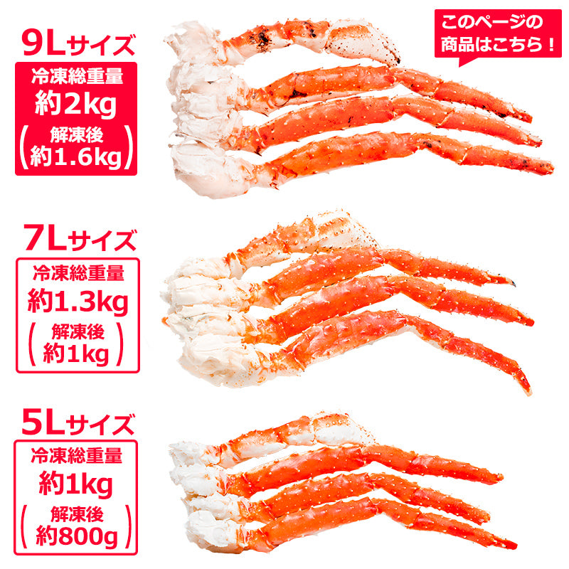 タラバガニ たらばがに 20kg 極太9Lサイズ 冷凍総重量 2kg 前後×10肩 正規品 ボイル冷凍 足 肩セクション シュリンク包装 タラバ かに カニ 蟹 たらば蟹 タラバ蟹 築地市場 豊洲市場 カニ鍋 焼きガニ 脚 ギフト 贈答用 お歳暮 おせち 単品おせち