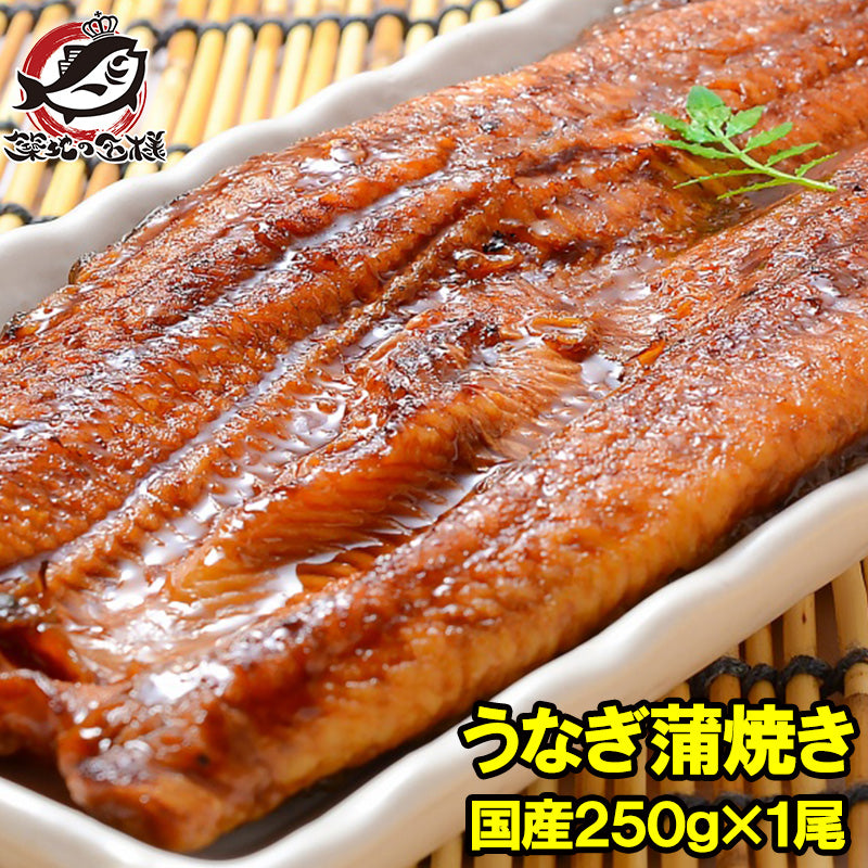 超特大 国産うなぎ蒲焼き 平均250g前後×1尾 タレ付き 柔らかうなぎを丁寧に焼き上げた まさに国産の最高級品質。デパ地下にも卸しています【うなぎ ウナギ 鰻 うな丼 うな重 ひつまぶし 土用の丑 ギフト】