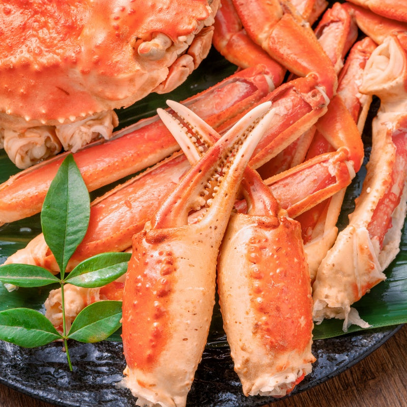 送料無料 ズワイガニ 750g前後×2尾 冷凍ゆでがに 本ズワイガニ 解凍するだけでOK!ボイル冷凍 ズワイ蟹【ずわいがに かに カニ 蟹 ずわい蟹 豊洲市場 かに鍋 焼きガニ ギフト】