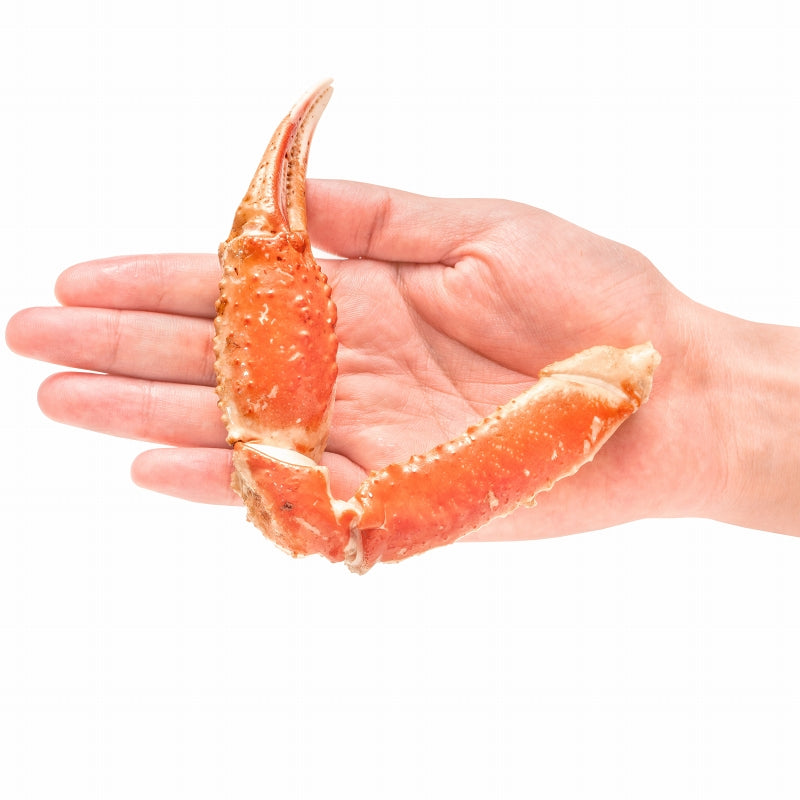 送料無料 ズワイガニ 750g前後×2尾 冷凍ゆでがに 本ズワイガニ 解凍するだけでOK!ボイル冷凍 ズワイ蟹【ずわいがに かに カニ 蟹 ずわい蟹 豊洲市場 かに鍋 焼きガニ ギフト】