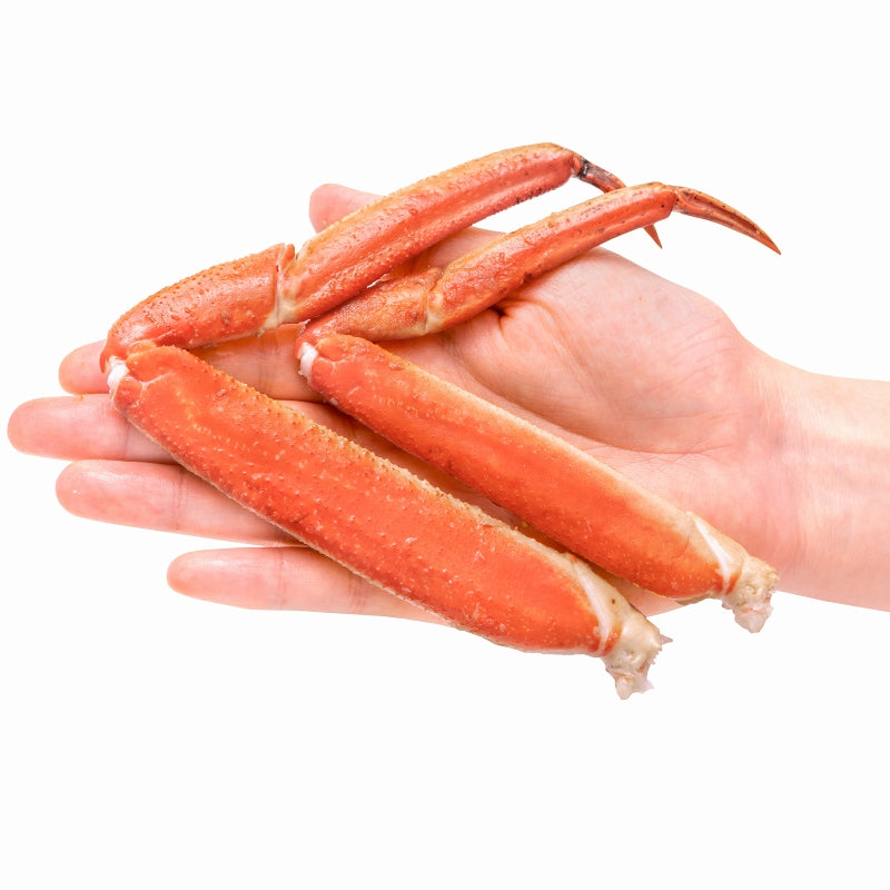 送料無料 ズワイガニ 750g前後×2尾 冷凍ゆでがに 本ズワイガニ 解凍するだけでOK!ボイル冷凍 ズワイ蟹【ずわいがに かに カニ 蟹 ずわい蟹 豊洲市場 かに鍋 焼きガニ ギフト】