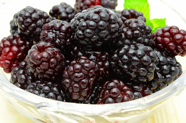 冷凍ブラックベリー 2kg 500g×4パック 弾けるブラックベリーをたっぷりと!【ブラックベリー 冷凍ブラックベリー 完熟ブラックベリー 冷凍フルーツ 冷凍デザート 冷凍食品 業務用 ヨナナス スムージー】