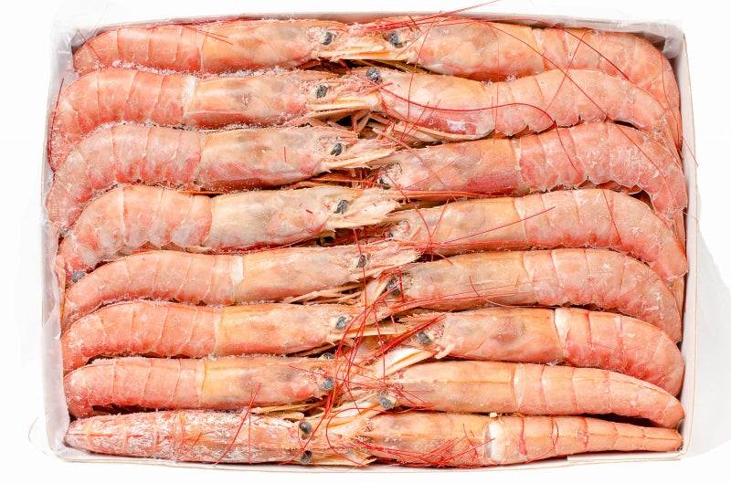 赤海老 4kg 特大L2 40〜60尾 業務用2kg×2箱・4kg お刺身用赤えび。ぼたん海老を超える希少な超特大 大きくプリプリの赤海老は甘みが違う。【赤えび 赤エビ あかえび アカエビ アルゼンチン 寿司 バーベキュー BBQ】