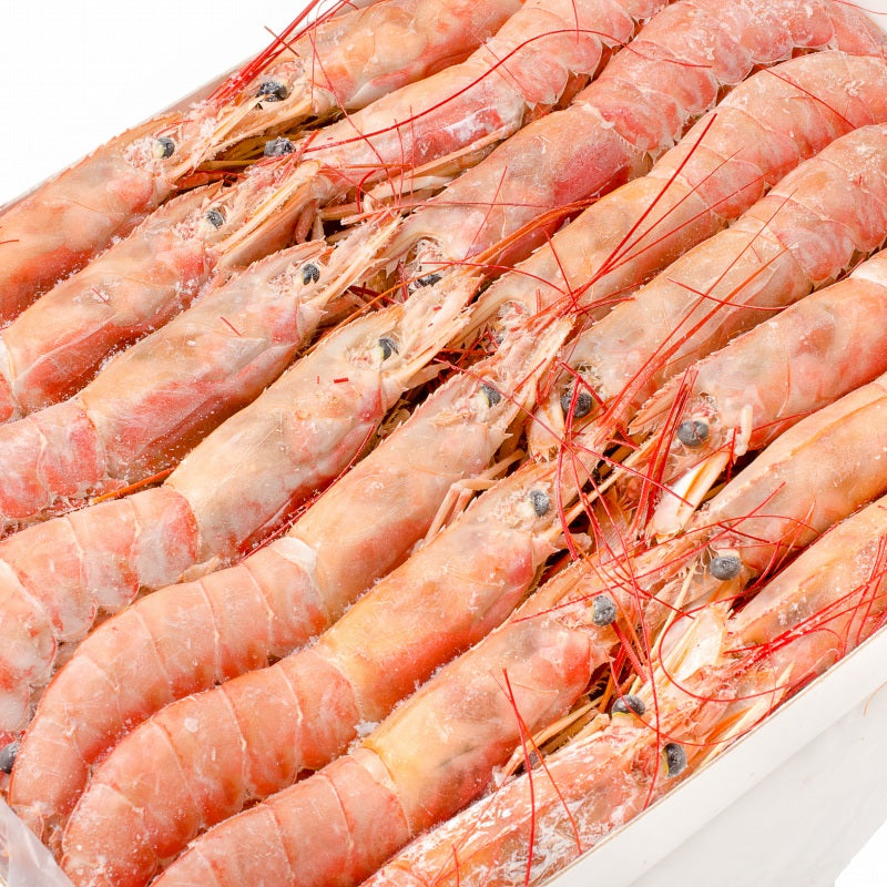 赤海老 4kg 超特大L1 20〜40尾 業務用2kg×2箱・4kg お刺身用赤えび。ぼたん海老を超える希少な超特大 大きくプリプリの赤海老は甘みが違う。【赤えび 赤エビ あかえび アカエビ アルゼンチン 寿司 バーベキュー BBQ】