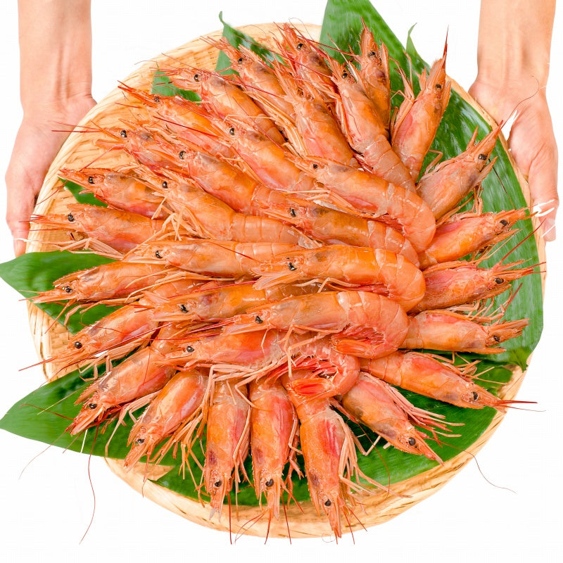 赤海老 2kg 特大L2 40〜60尾 業務用1箱 お刺身用赤えび。ぼたん海老を超える希少な超特大 大きくプリプリの赤海老は甘みが違う。【赤えび 赤エビ あかえび アカエビ アルゼンチン 寿司 バーベキュー BBQ】