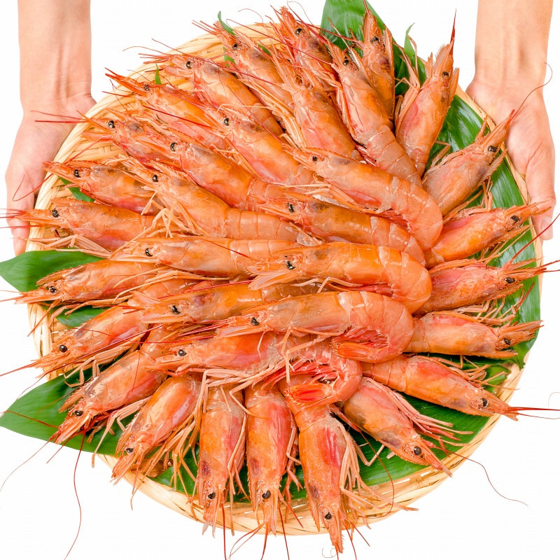 赤海老 2kg 超特大L1 20〜40尾 業務用1箱 お刺身用赤えび。ぼたん海老を超える希少な超特大 大きくプリプリの赤海老は甘みが違う。【赤えび 赤エビ あかえび アカエビ アルゼンチン 寿司 バーベキュー BBQ】