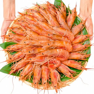 送料無料 海鮮浜焼き 5種セット かに入り 海鮮バーベキューセット 北海道産ほたて10枚 かにみそ甲羅盛り2個 いかおやじ串10本 特大赤海老L1サイズ2kg タラバガニ 5L 1kg