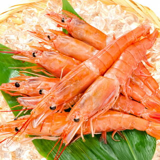 送料無料 海鮮浜焼き 5種セット かに入り 海鮮バーベキューセット 北海道産ほたて10枚 かにみそ甲羅盛り2個 いかおやじ串10本 特大赤海老L1サイズ2kg タラバガニ 5L 1kg