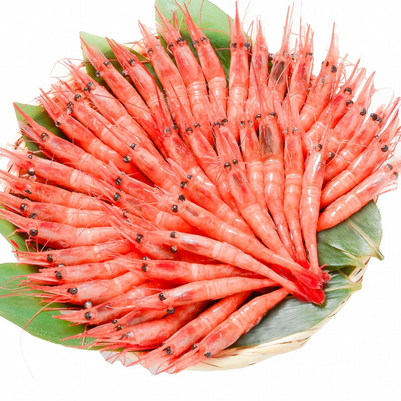 【週末限定セール】送料無料 甘海老 甘エビ 1kg お刺身用 大きい2Lサイズ 45尾前後 業務用 メガ盛り 10人前。船上で瞬間冷凍なので鮮度抜群 【あまエビ 甘海老 甘エビ 甘えび あまえび アマエビ 海老 エビ 刺身 バーベキュー】
