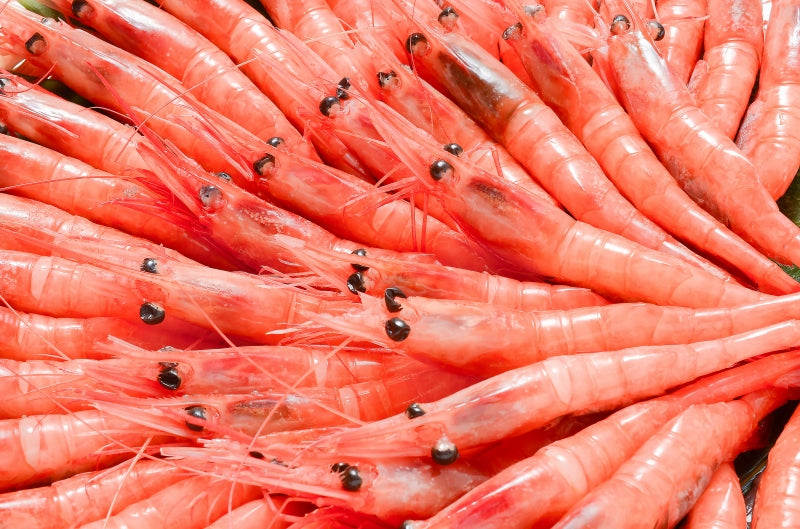 【週末限定セール】送料無料 甘海老 甘エビ 1kg お刺身用 大きい2Lサイズ 45尾前後 業務用 メガ盛り 10人前。船上で瞬間冷凍なので鮮度抜群 【あまエビ 甘海老 甘エビ 甘えび あまえび アマエビ 海老 エビ 刺身 バーベキュー】