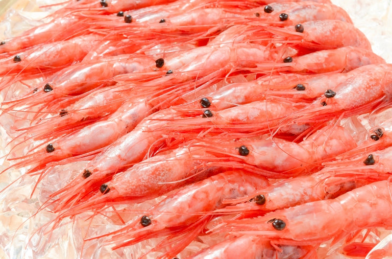 【週末限定セール】送料無料 甘海老 甘エビ 1kg お刺身用 大きい2Lサイズ 45尾前後 業務用 メガ盛り 10人前。船上で瞬間冷凍なので鮮度抜群 【あまエビ 甘海老 甘エビ 甘えび あまえび アマエビ 海老 エビ 刺身 バーベキュー】