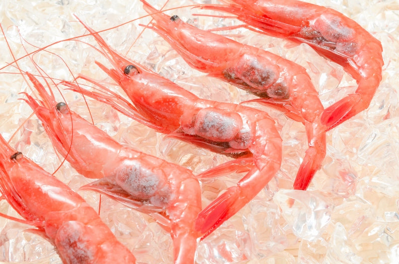 【週末限定セール】送料無料 甘海老 甘エビ 1kg お刺身用 大きい2Lサイズ 45尾前後 業務用 メガ盛り 10人前。船上で瞬間冷凍なので鮮度抜群 【あまエビ 甘海老 甘エビ 甘えび あまえび アマエビ 海老 エビ 刺身 バーベキュー】