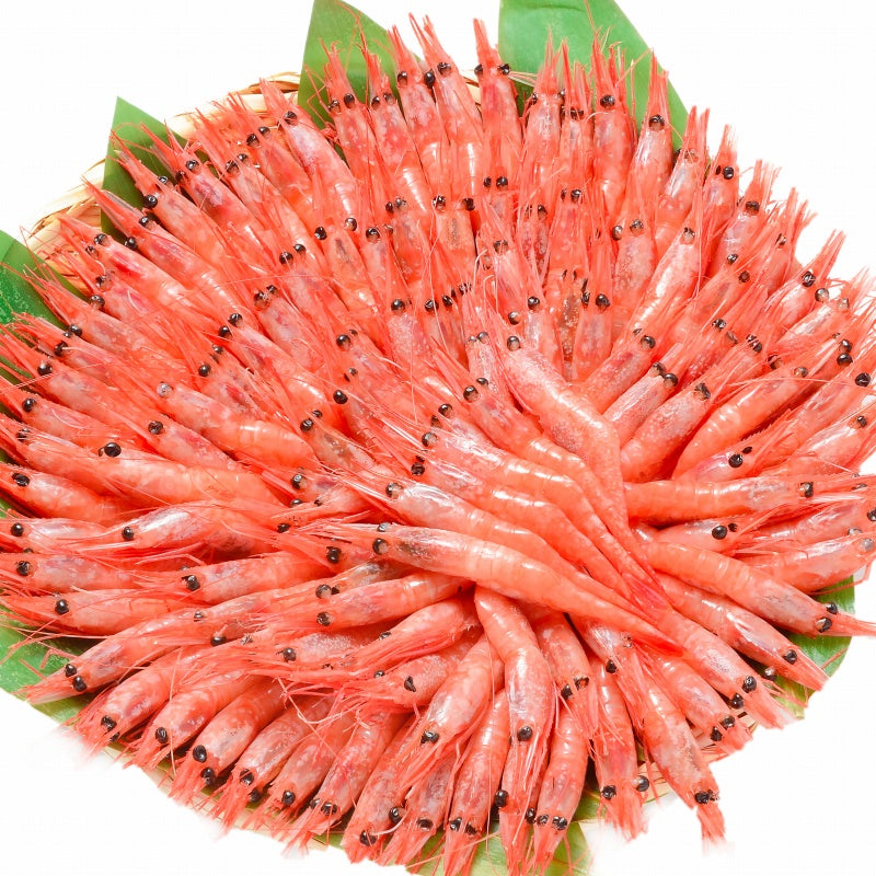 甘エビ 甘海老 1kg 90~120尾前後 Sサイズ 楽天最安値へ挑戦!業務用あまエビメガ盛り10人前。船上冷凍で鮮度抜群 甘海老 甘エビ 甘えび あまえび アマエビ 海老 エビ 豊洲市場 ギフト