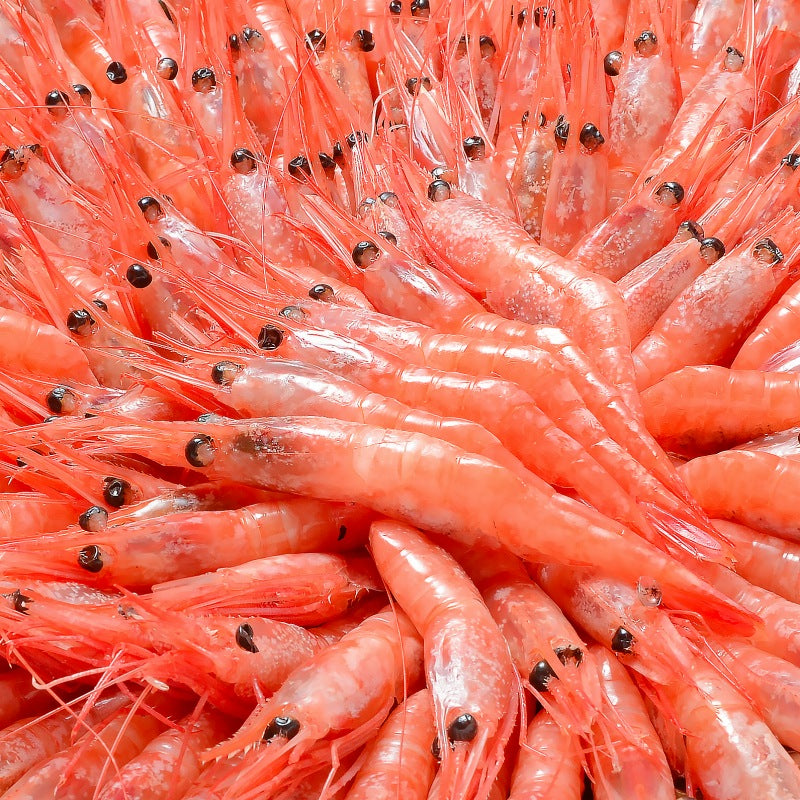 【週末限定セール】甘海老 甘エビ 甘えび 1kg 90〜120尾前後 業務用 お刺身用 メガ盛り10人前 船上冷凍で鮮度抜群【あまエビ あまえび アマエビ 海老 エビ 豊洲 刺身 バーベキュー ギフト