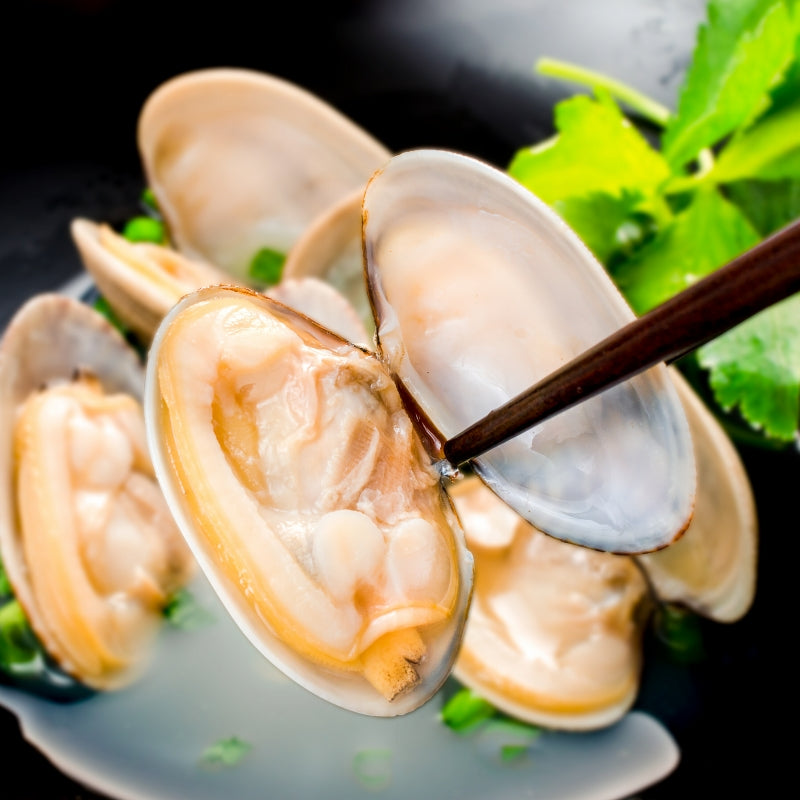 送料無料 あさり アサリ 500g ボイル 殻付き 柔らかく旨味があり、とても良いダシが出ます【浅蜊 あさりごはん クラムチャウダー ボンゴレ あさりバター炒め 深川めし あさりの味噌汁 むき身 業務用 冷凍 あさり料理】