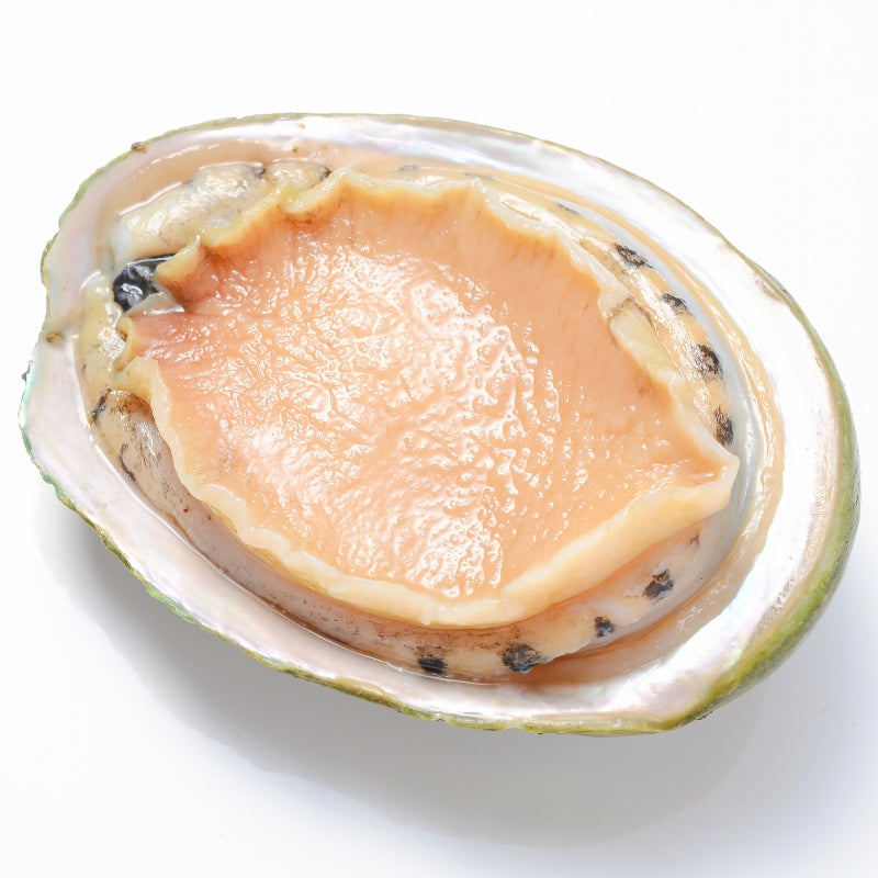 送料無料 あわび Lサイズ 1kg 1箱12個入り 殻つきお刺身用アワビ 高級料亭でも使用する新鮮な殻付きあわび 【あわび アワビ 鮑 お造り バター焼き ステーキ おせち 翡翠の瞳 貝柱 豊洲 寿司 海鮮 ギフト】