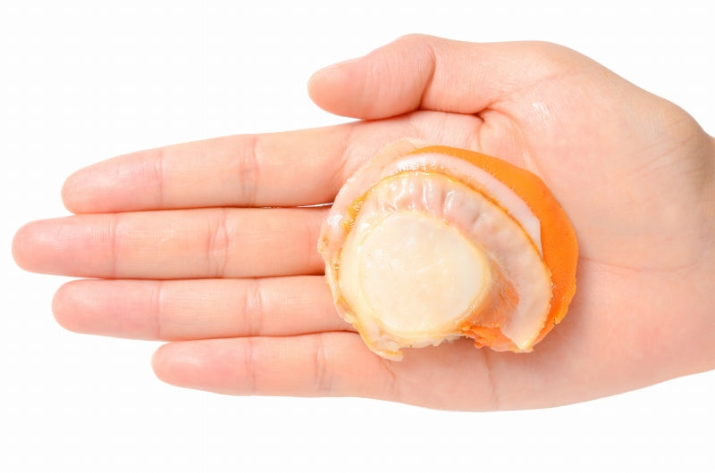 ボイルほたて 特大Lサイズ 800g プリプリ大粒の新鮮ボイルホタテがたっぷり 帆立 ほたて ホタテ 貝柱 貝 お弁当 バター焼き 業務用 冷凍食品 豊洲 ギフト