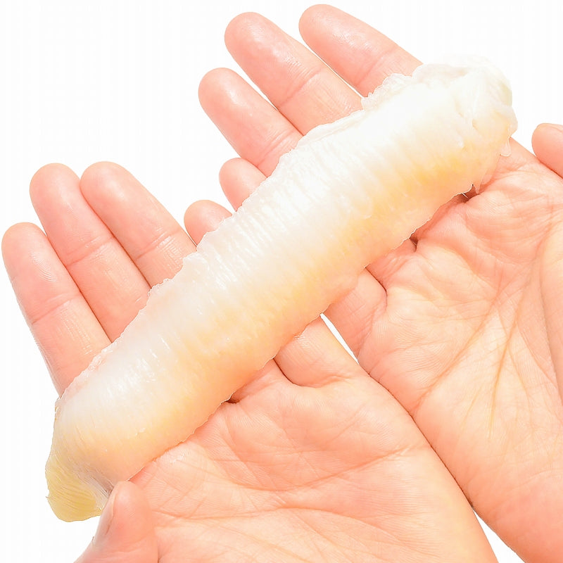送料無料 えんがわ 500g×2パック 合計1kg お刺身用高級カラスガレイえんがわ 寿司屋が使う高品質な業務用えんがわ【エンガワ 縁側 かれいえんがわ カレイえんがわ 炙りえんがわ 刺身 寿司ネタ ギフト】 (コピー)