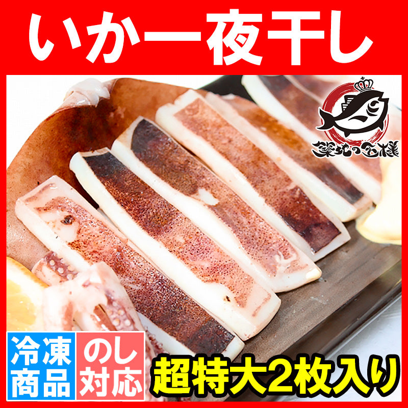 いか イカ イカ焼き 本当にデカイ!特大いか一夜干し 1枚 1袋 甘塩手造りの特選クラス 驚きの大きさと身の厚さでとても柔らか 北海道産 するめいか するめいか開き イカ一夜干し 烏賊 干物 珍味 豊洲市場 ギフト