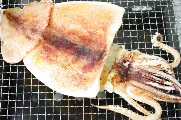 いか イカ イカ焼き 本当にデカイ!特大いか一夜干し 1枚 1袋 甘塩手造りの特選クラス 驚きの大きさと身の厚さでとても柔らか 北海道産 するめいか するめいか開き イカ一夜干し 烏賊 干物 珍味 豊洲市場 ギフト
